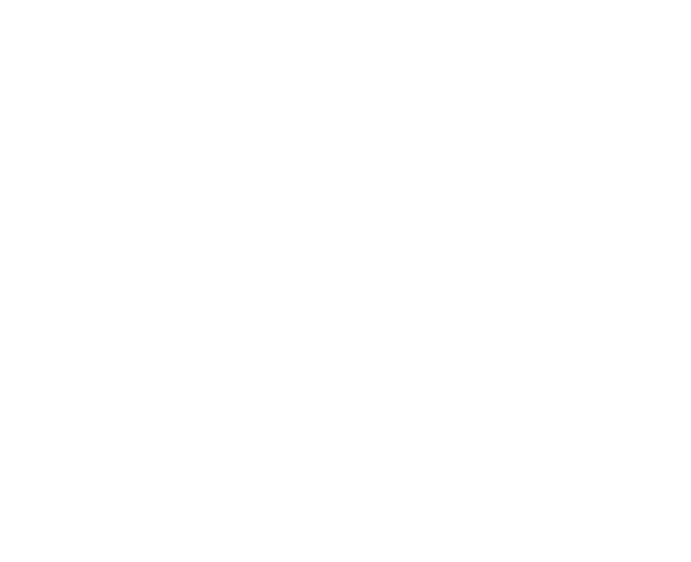 USA Logo